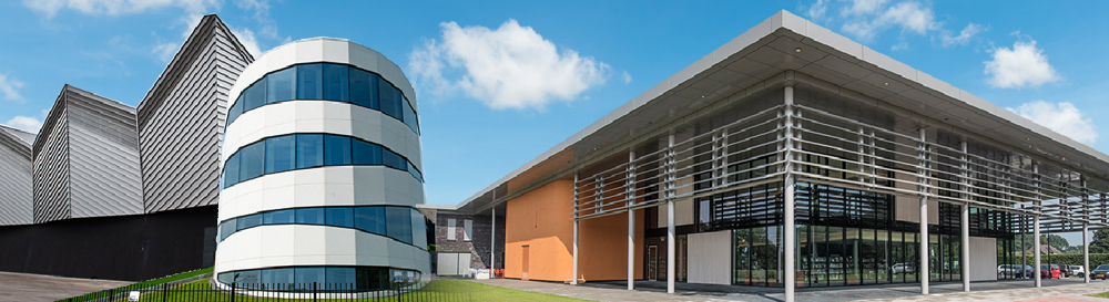 betuwe-img (df9f4cd7-9da3-4175-abd8-91889deeb4c0).png